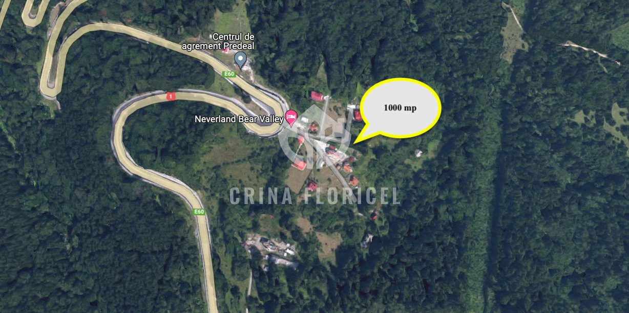 Teren cu padure 1000 mp, Predeal - Strada Pajistei - Valea Ursuletul