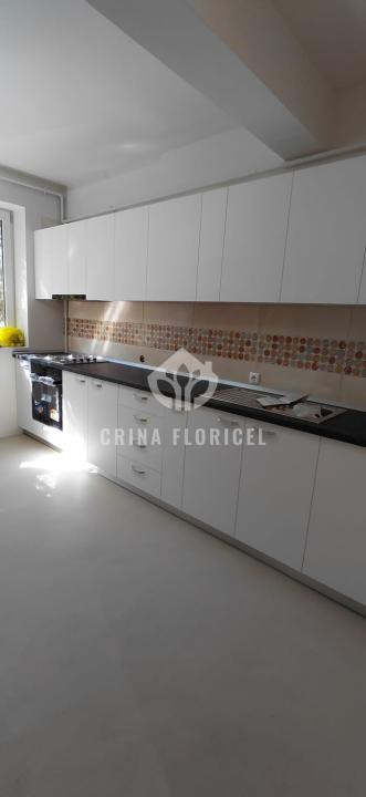 Inchiriere duplex cu gradina 60 mp - renovat - prima inchiriere - Herastrau
